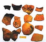 三島岡遺跡で発見された土器の画像