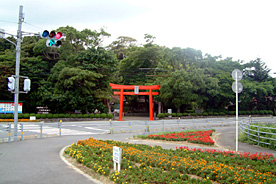 八幡神社遺跡の風景の画像