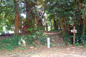八幡神社社叢の風景の画像