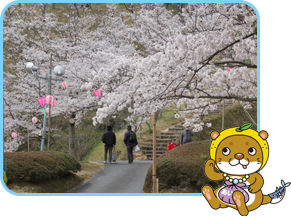 南(なん)レク城辺公園(じょうへんこうえん)桜(さくら)まつりの画像