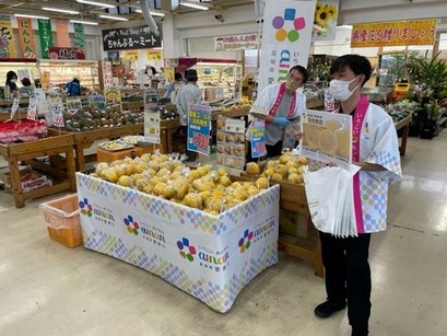 沖縄の店舗内で愛南ゴールドを手売りしている写真