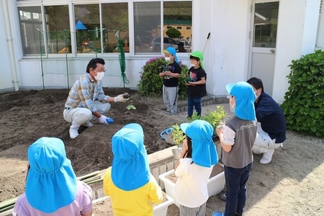 園児たちにJA職員が野菜苗の植え付け方を説明している写真