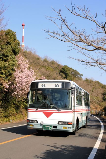 入賞作品「愛南に春が来た」の画像