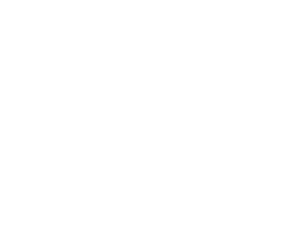 ぎゅぎゅっと愛南SPロゴ