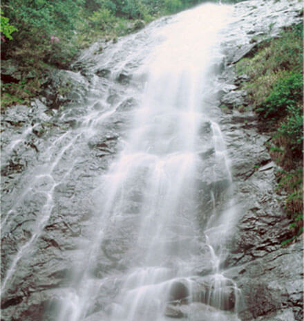 白滝の画像