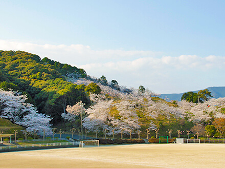 南レク大森山キャンプ場の画像