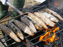 わら焼きのタタキ画像