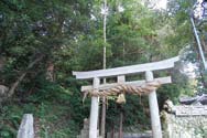 柏崎岩神社境内巨木群の風景の画像