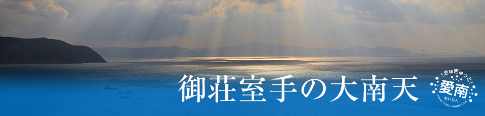 御荘­室手の大南­天の画像