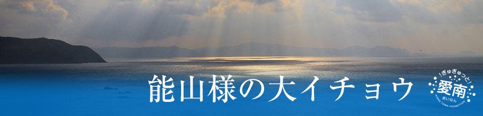 能山様の大イチョウの画像