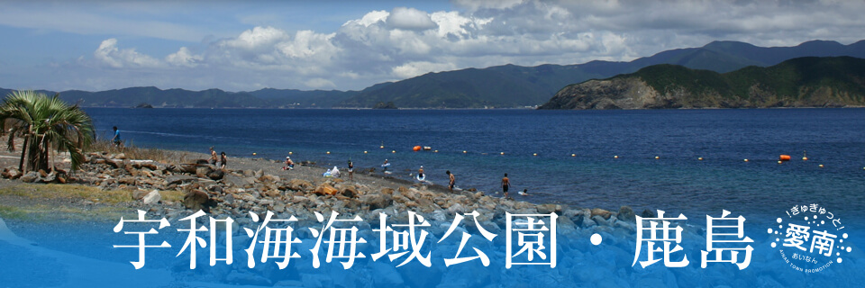 宇和海海域公園・鹿島の画像