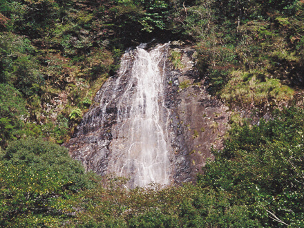 白滝の画像