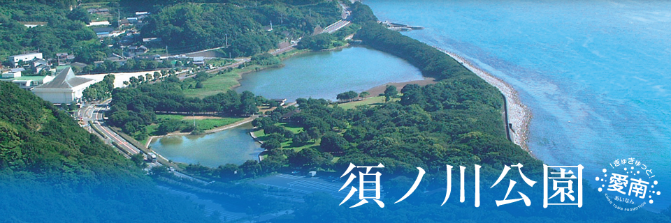須ノ川公園の全景画像