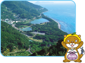 須ノ川海岸(すのかわかいがん) (内海村(うちうみむら)由良(ゆら)の岬(みさき)の好眺望(こうちょうぼう))の画像