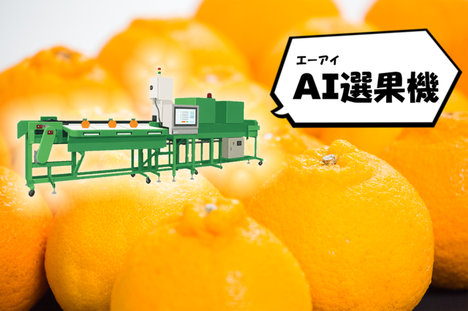 あいなんフルーツ1の画像