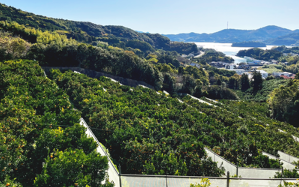 園地の