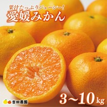 吉田農園1の画像