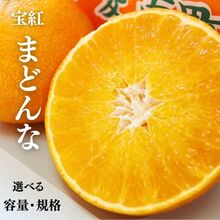 吉本農園1の画像