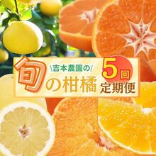 吉本農園3の画像
