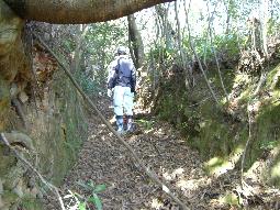 周知の埋蔵文化財包蔵地「緑城跡」現地踏査