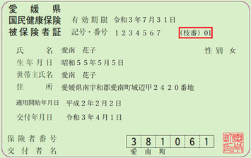 被保険者証の枝番記載の見本の画像