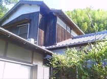 detached 古月