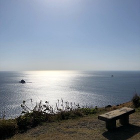 高茂岬の画像
