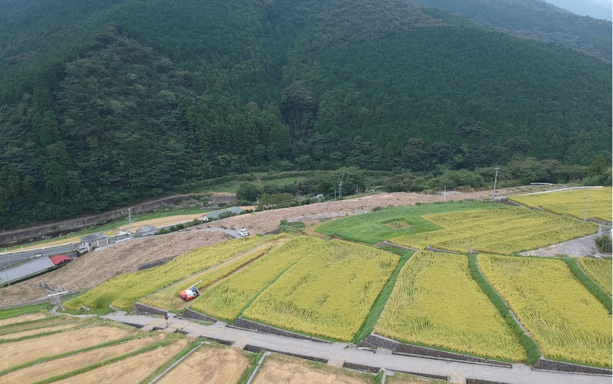 山出の棚田の画像