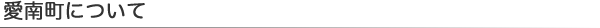 愛南町について